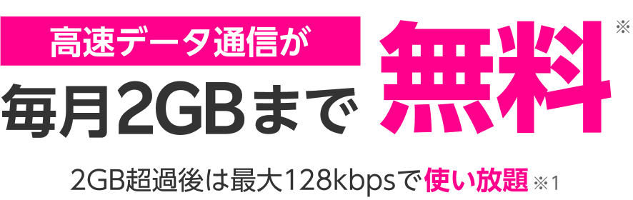 高速データ通信が無料
毎月2GBまで