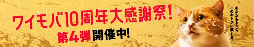 ワイモバイルの料金に関するデメリット