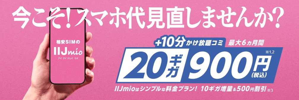 最大6ヶ月間20GB900円