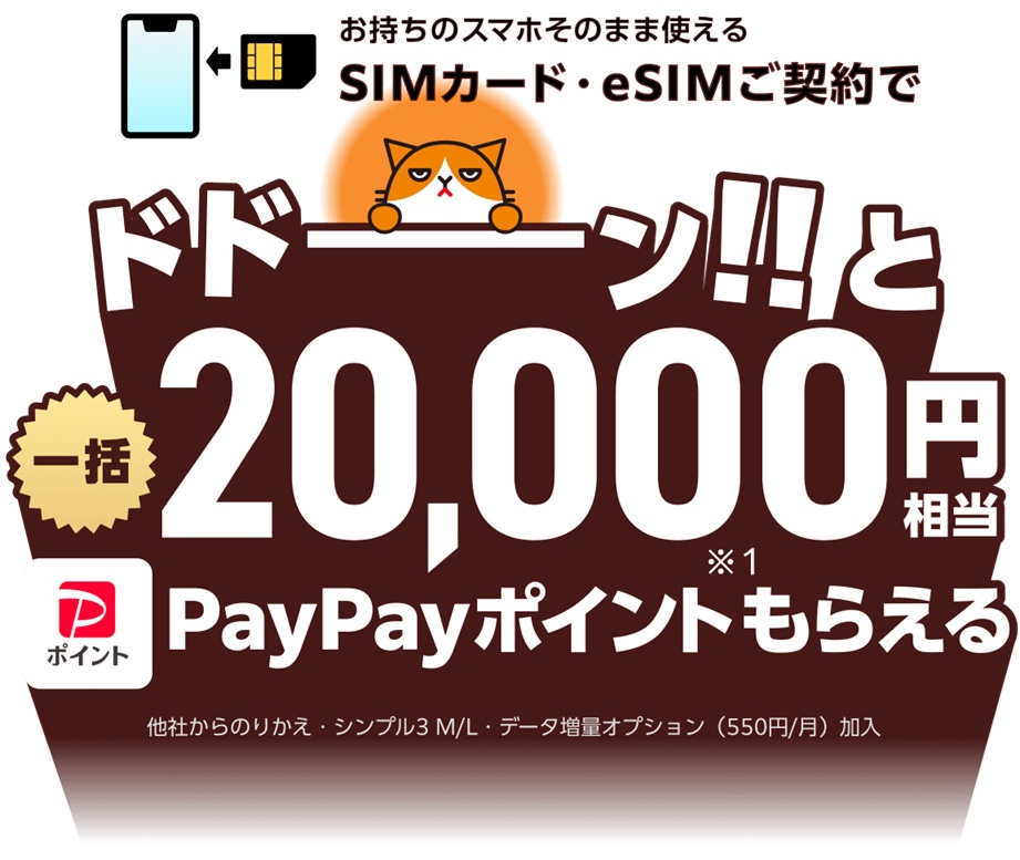 SIMカード・eSIMご契約で一括20,000ポイント
